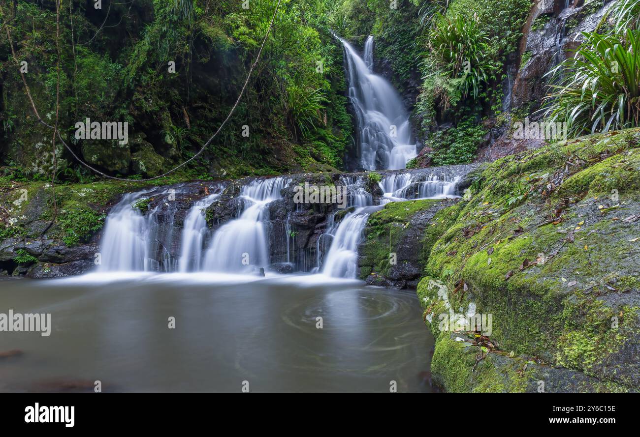 Langbelichtungsaufnahme von Elabana-Fällen im lamington-Nationalpark Stockfoto