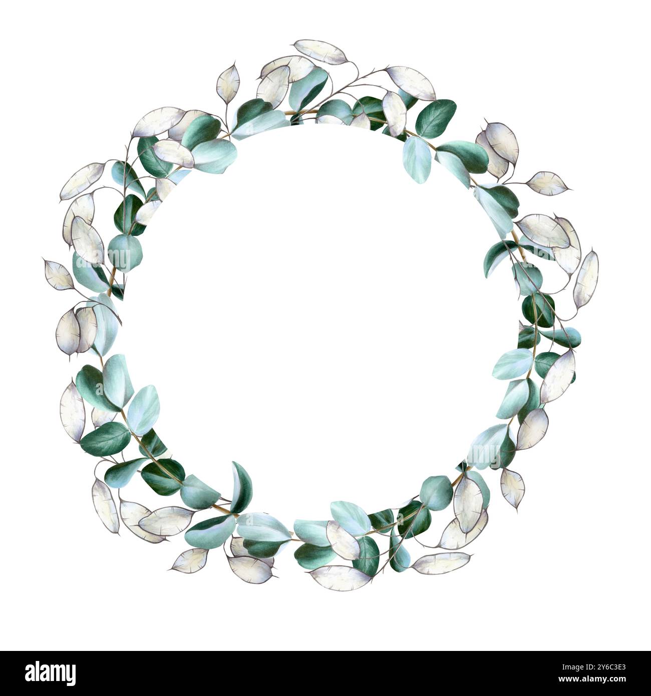 Realistischer Eukalyptus, Kranz, Logo, Rahmen. Aquarell Hand gezeichnete grüne Pflanze isoliert auf transparentem Hintergrund. Weihnachten, Winter und Stockfoto