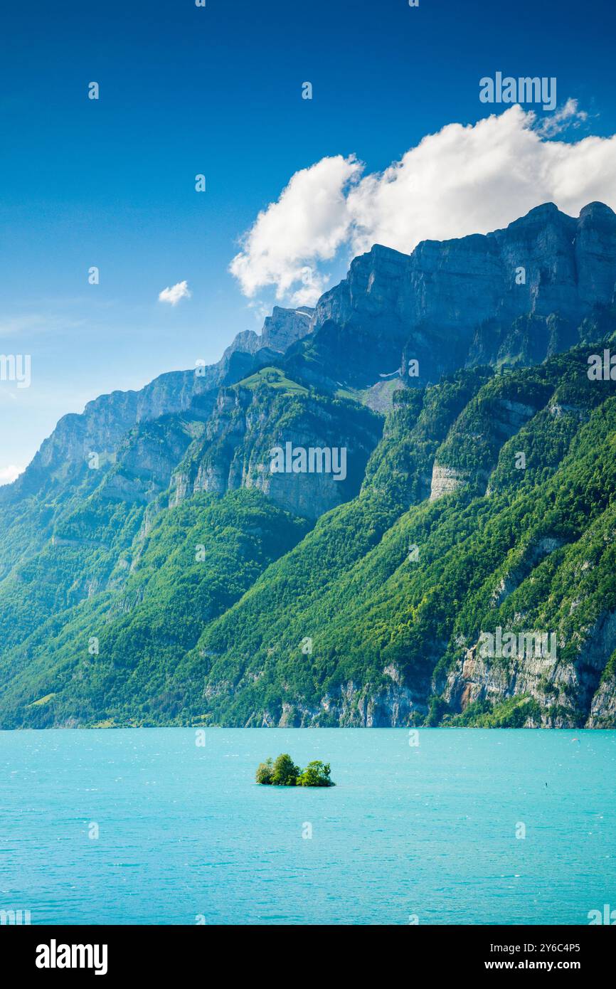 Blick auf den walisischen See mit einer kleinen Insel (Schnittlauchinsel) und die Berge Schaeren und Leistchamm im Hintergrund. Canton St. Gallen, Schweiz Stockfoto
