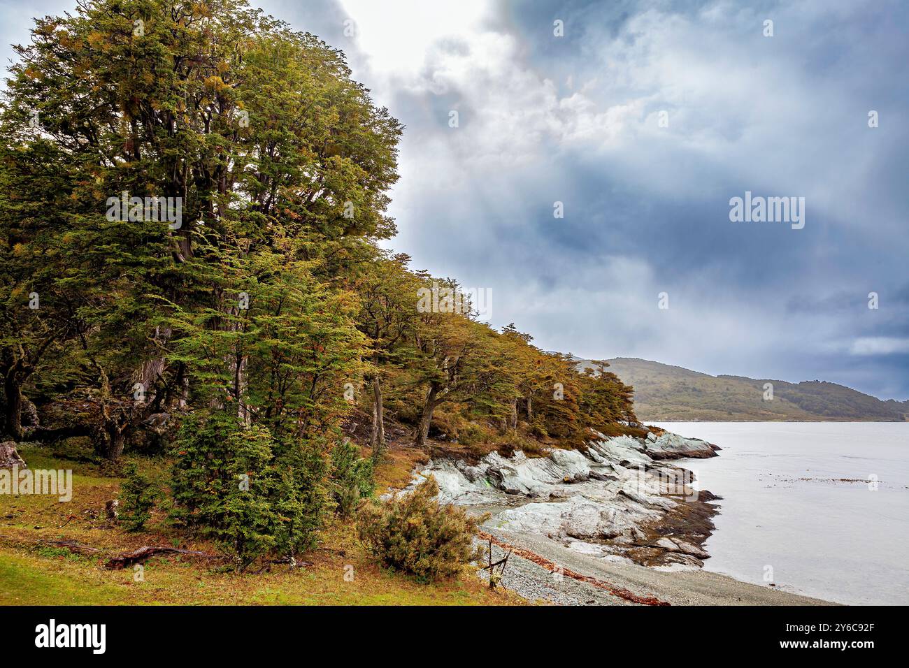 Die Landschaft Patagoniens bei Ushuaia Stockfoto