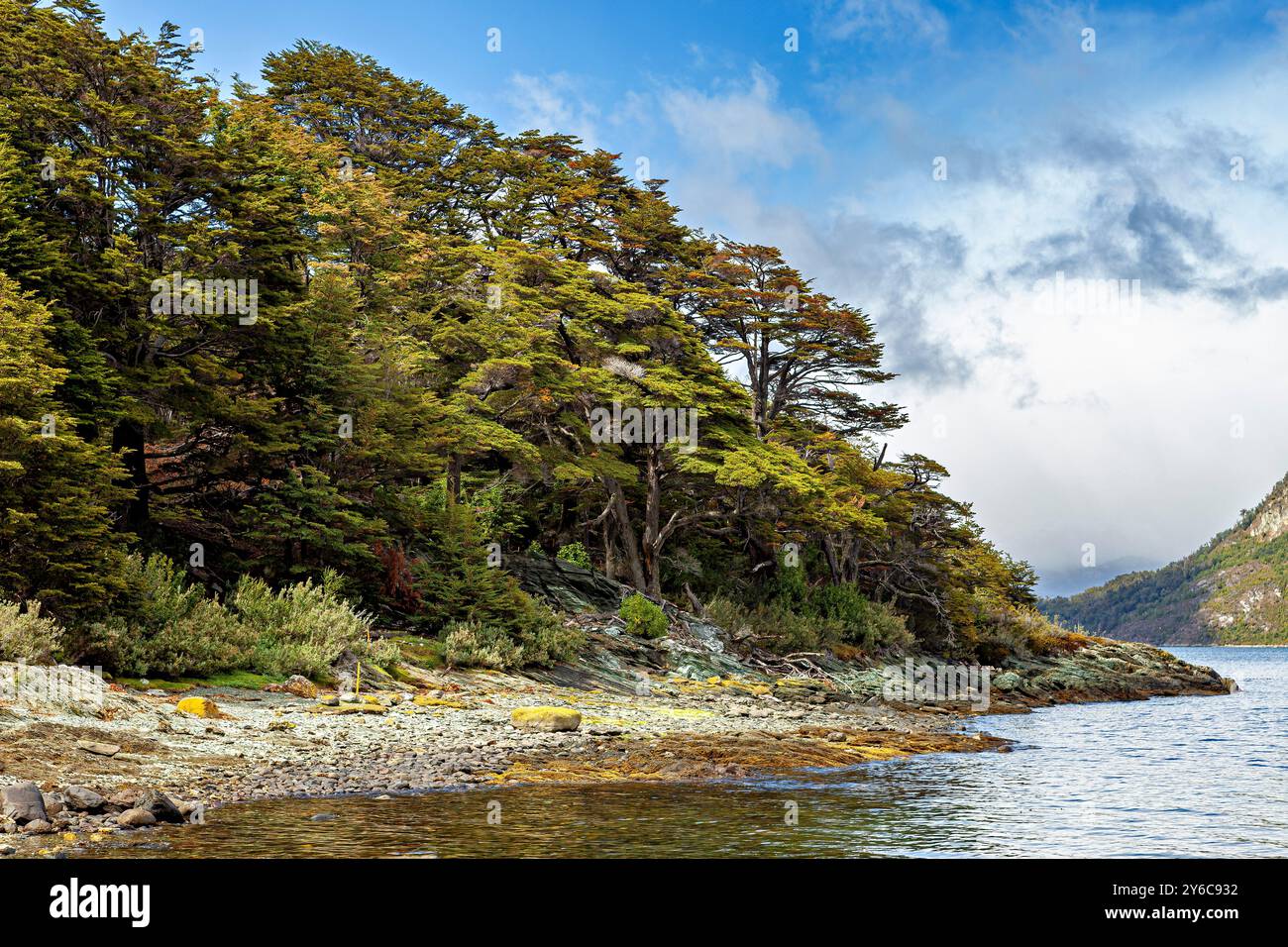Die Landschaft Patagoniens bei Ushuaia Stockfoto