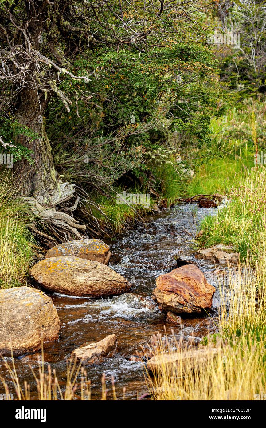 Die Landschaft Patagoniens bei Ushuaia Stockfoto