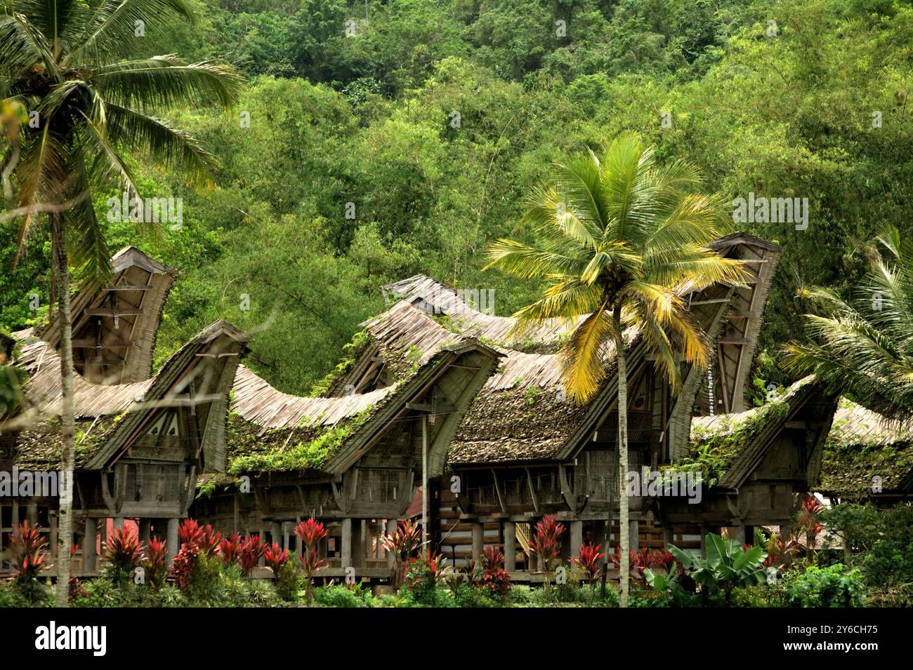 Kornspeicher in traditioneller Tongkonan-Architektur im Dorf Kete Kesu, Nord-Toraja, Süd-Sulawesi, Indonesien. Stockfoto