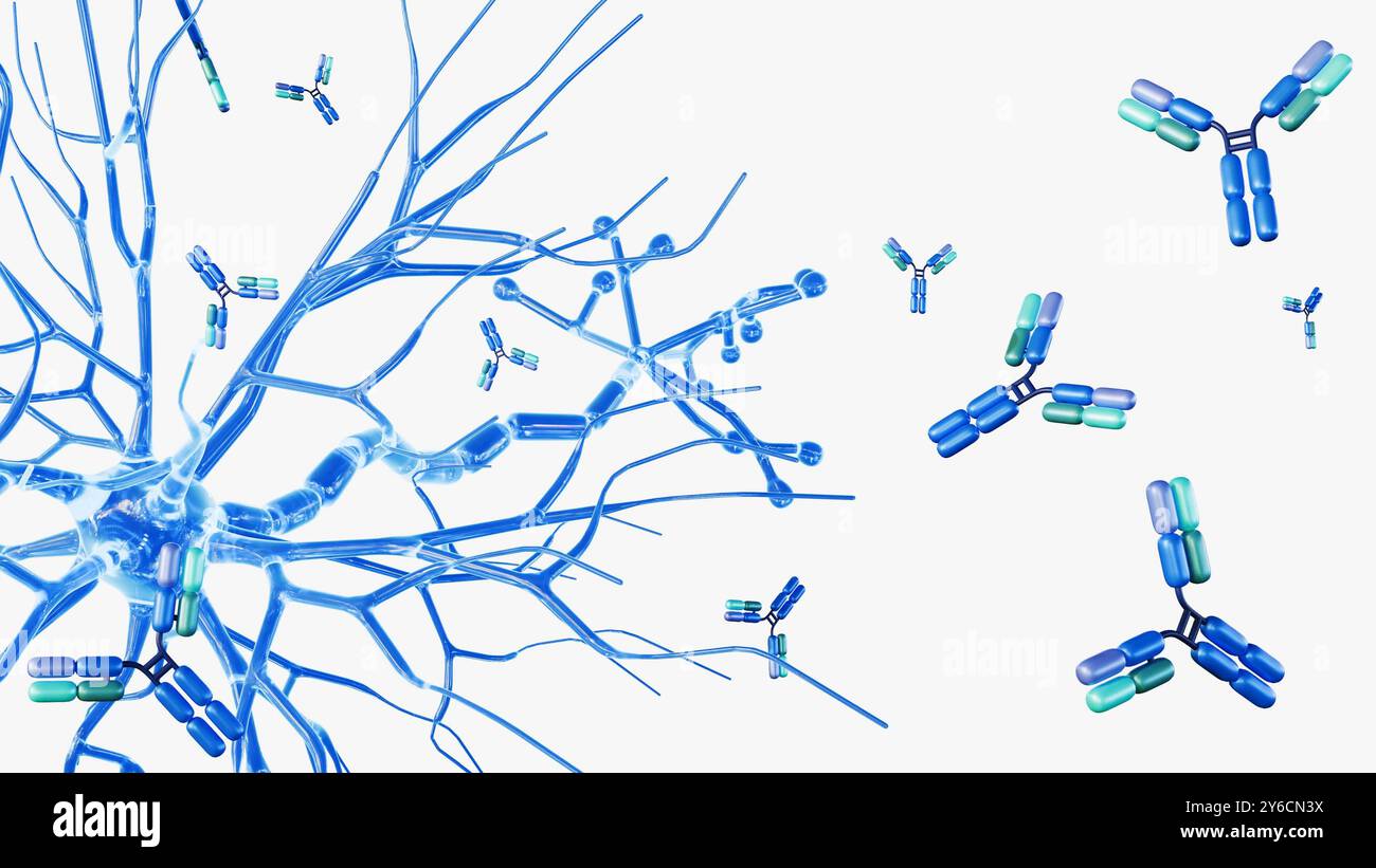 Antikörper können helfen, Neuroentzündungen zu regulieren, die für die Gesundheit des Gehirns wichtig sind, aber mit Krankheiten wie Alzheimer und Multiple Sklerose in Verbindung gebracht werden Stockfoto