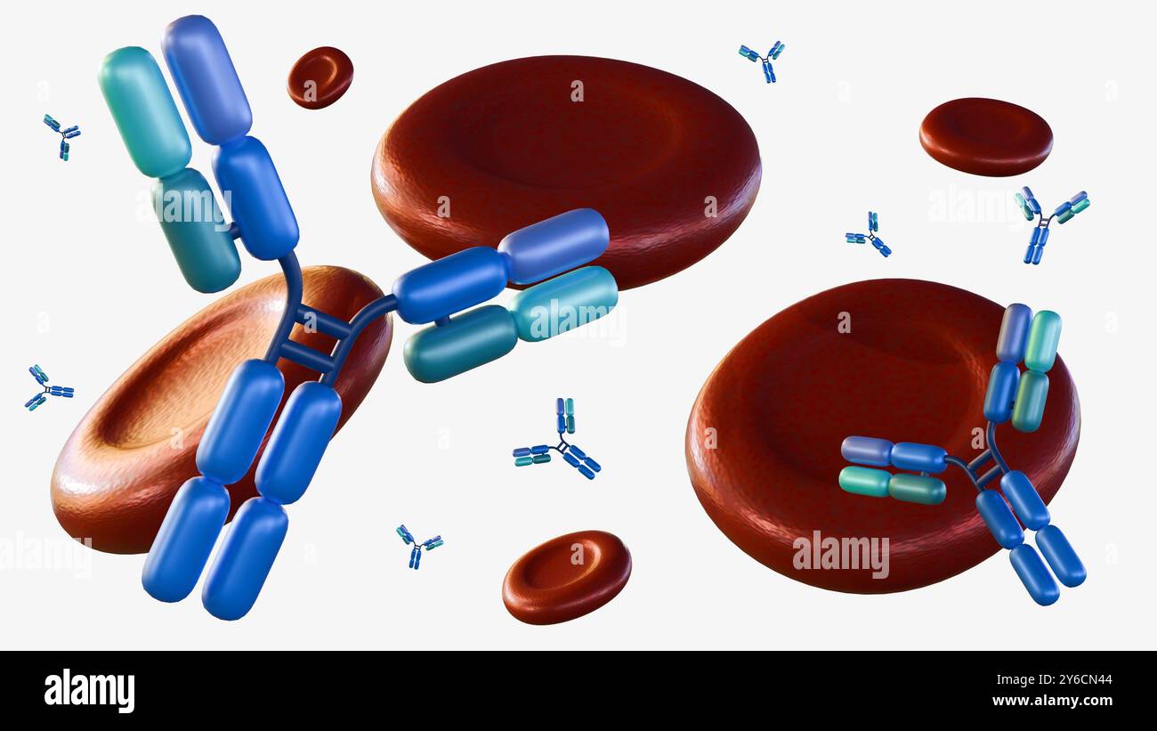 3D-Rendering von Antikörpermolekülen, die um Erythrozyten oder Erythrozyten verstreut sind. Stockfoto