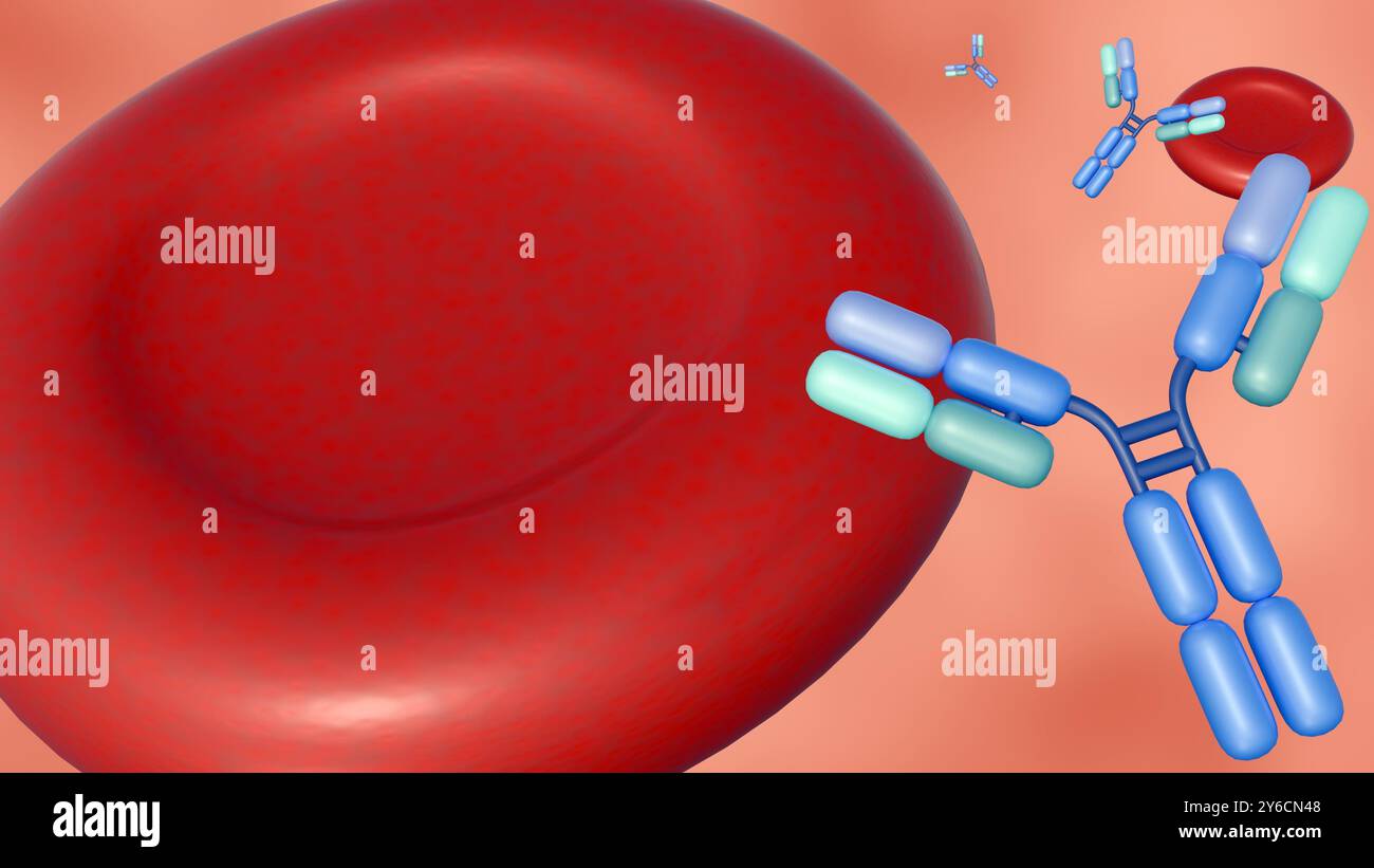 3D-Rendering von Antikörpermolekülen, die um Erythrozyten oder Erythrozyten verstreut sind. Stockfoto