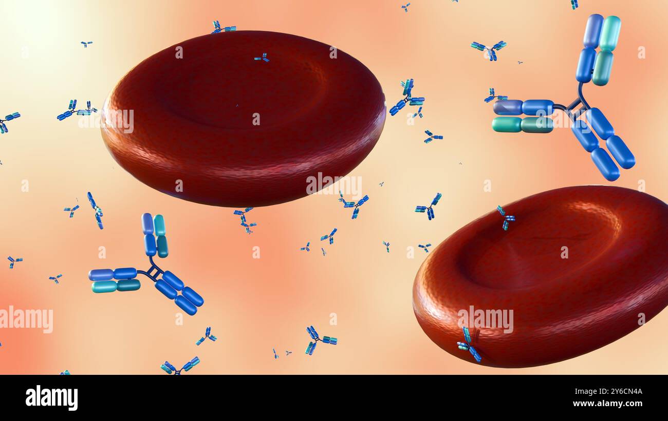 3D-Rendering von Antikörpermolekülen, die um Erythrozyten oder Erythrozyten verstreut sind. Stockfoto