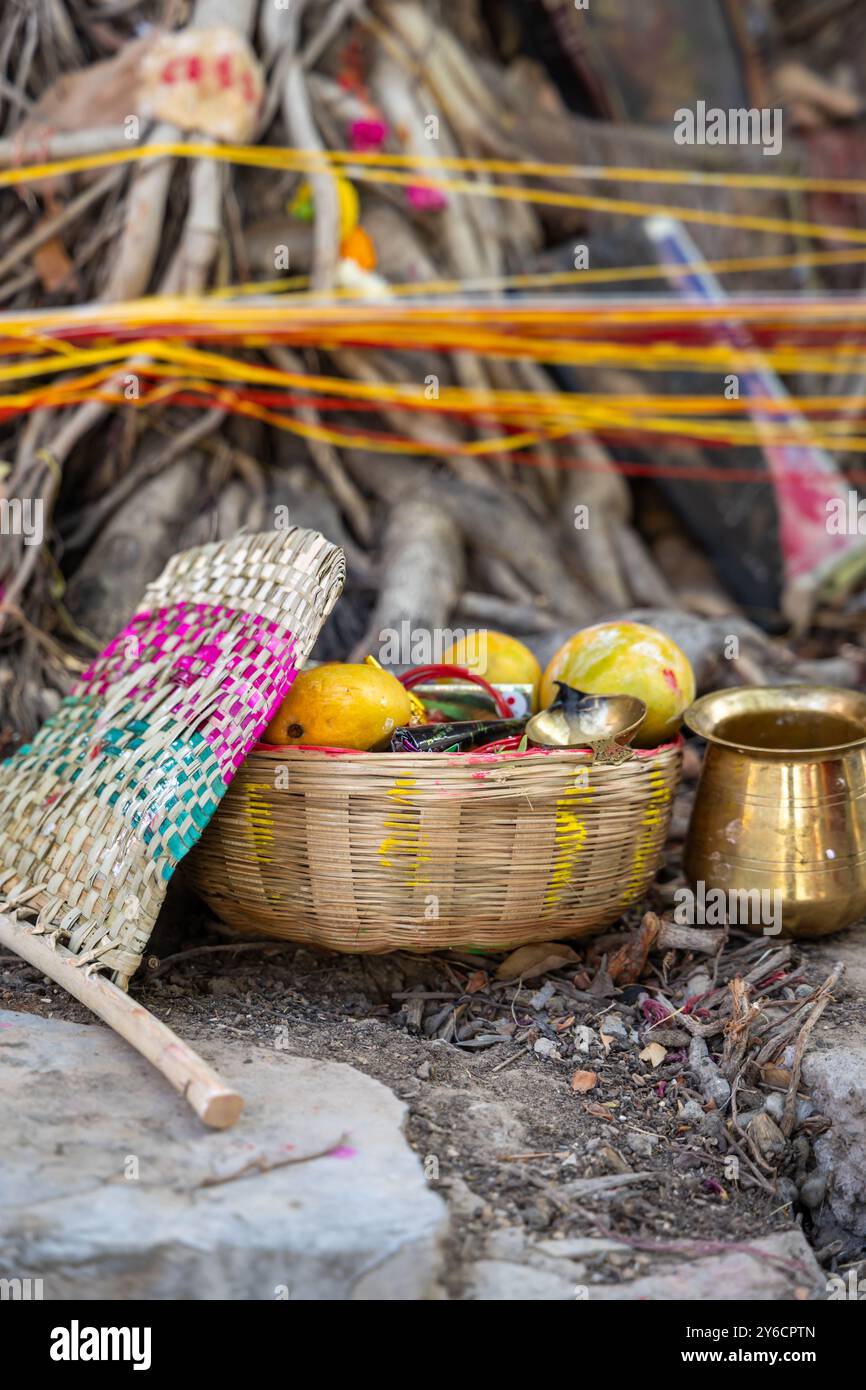 Anbetungen des heiligen Banyan-Baumes mit Opfergaben und Bambus-Handfächer am Tag anlässlich des Banyan-Baum-Anbetungsfestes, (MwSt. Savitri Puja) Indien. Stockfoto