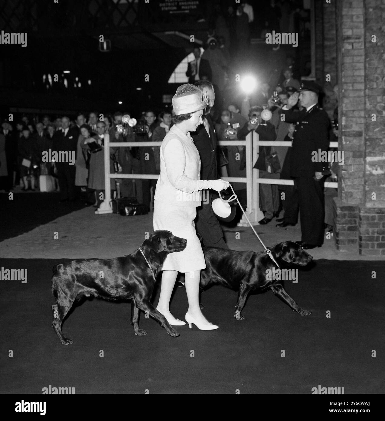 14. OKTOBER 1963 KÖNIGIN ELISABETH II. MIT IHREN LABRADOR RETRIEVER HUNDEN, FROST UND SABRE. AUF DER RÜCKFAHRT VON SCHOTTLAND ZUM BAHNHOF KINGS CROSS, LONDON, ENGLAND. Stockfoto