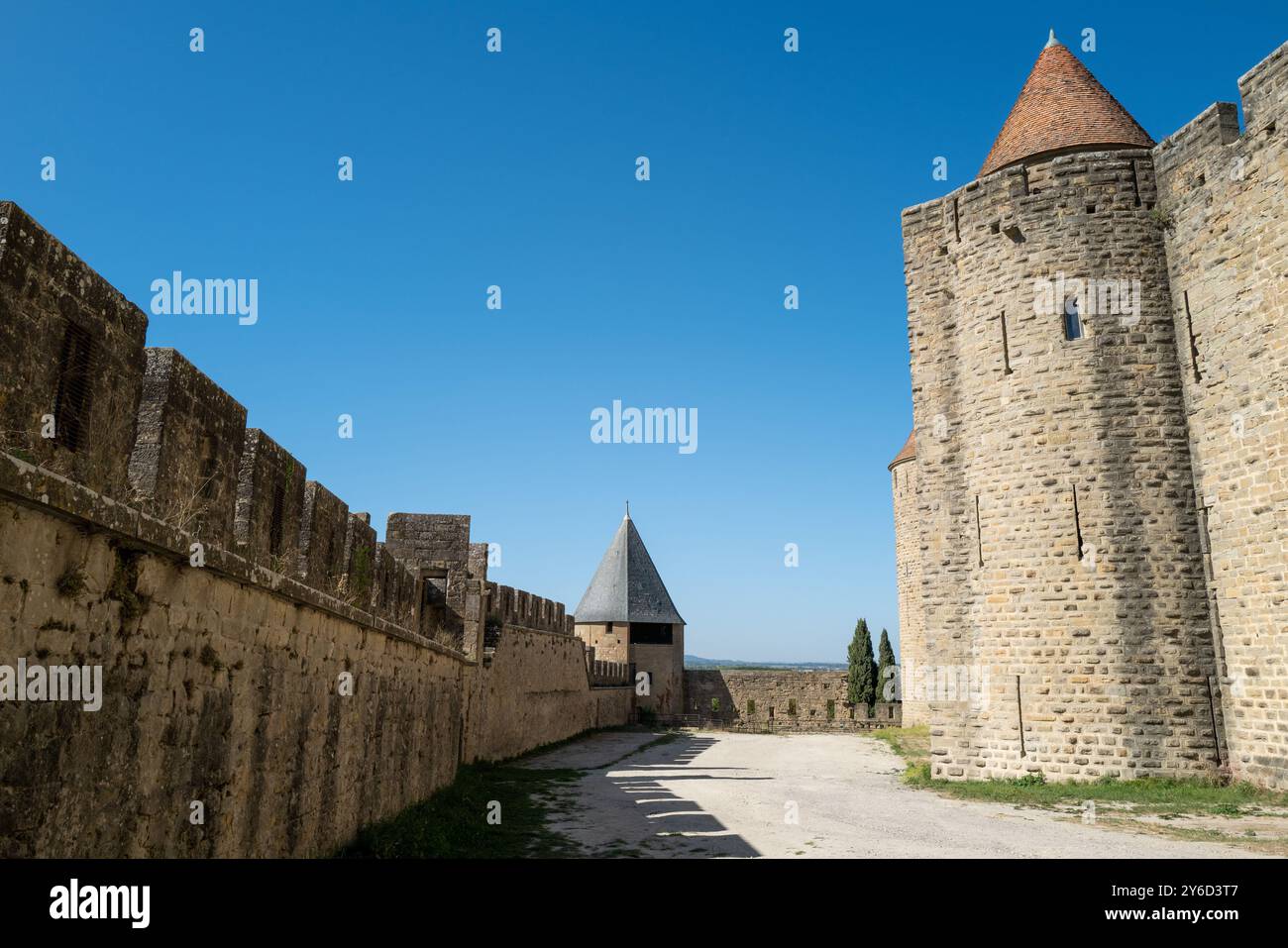 Carcassonne (Südfrankreich): Weinberge vor der mittelalterlichen Stadt Stockfoto