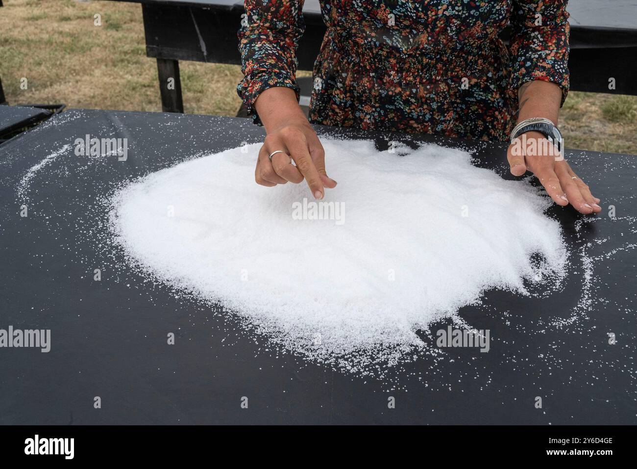 Noirmoutier Island (Zentralwestfrankreich): Unraffiniertes Salz bester Qualität. Präsentation der „Fleur de Sel“-Ernte in den Salzwiesen Stockfoto