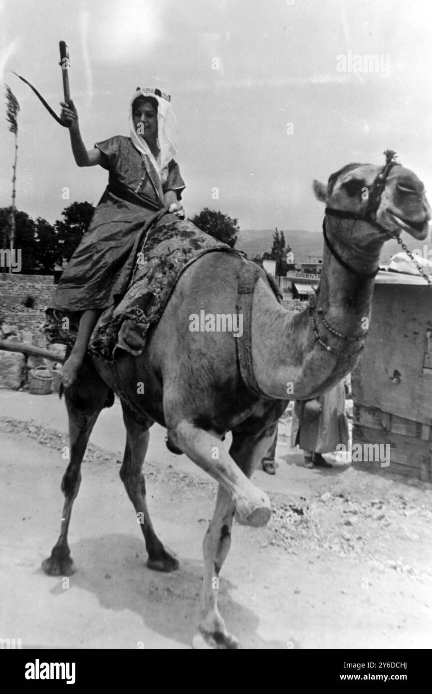 MISS SWITZERLAND DIANE TANNER AUF DEM KAMEL IN BEIRUT, LIBANON / ; 7. JUNI 1963 Stockfoto