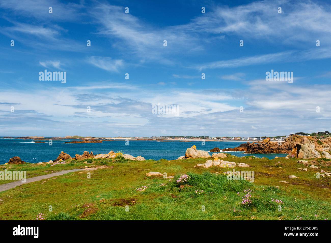 Cobo Bay von Le Creux Küstenpfad mit Sea Pinks blüht im Sommer. Castel, Guernsey, Kanalinseln, Großbritannien, Europa Stockfoto