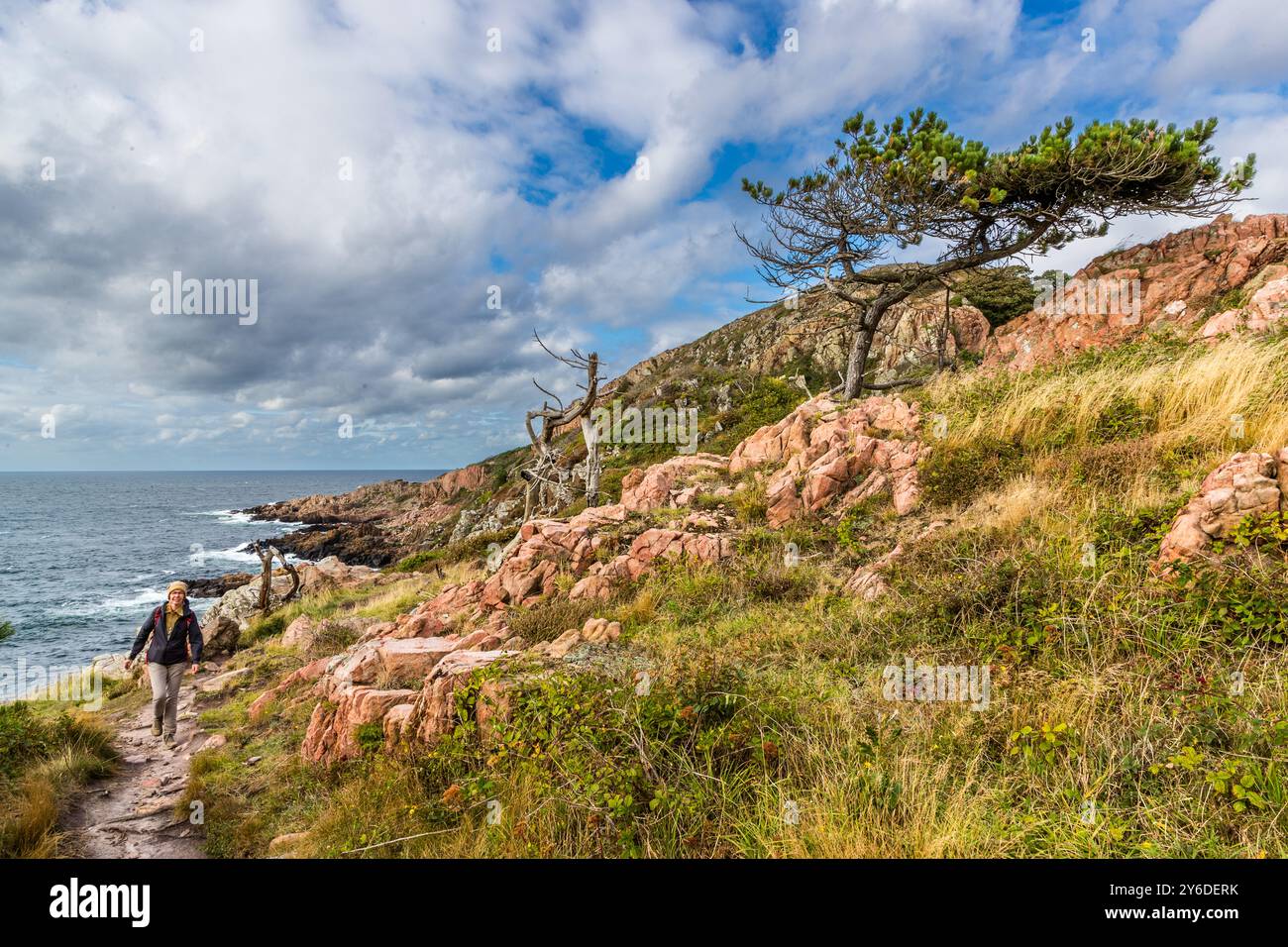 Der Küstenwanderweg Kullaberg ist eine felsige Region mit steilen Klippen und einer Höhe von bis zu 188 Metern. Die Halbinsel Kullaberg ist ein Naturschutzgebiet. Italienska vägen, Höganäs kommun, Skåne, Schweden Stockfoto