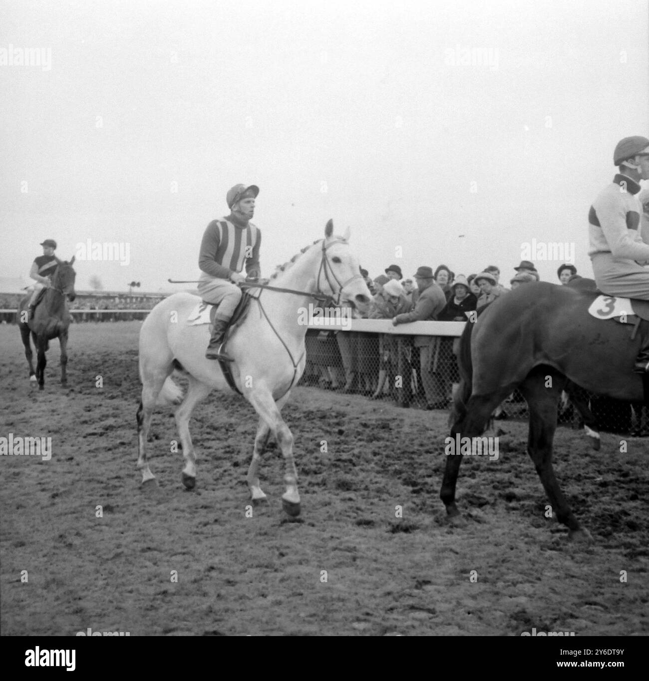 PFERDERENNEN IN CHELTENHAM NICHOLAUS SILVER BEASLEY B; 16. MÄRZ 1963 Stockfoto