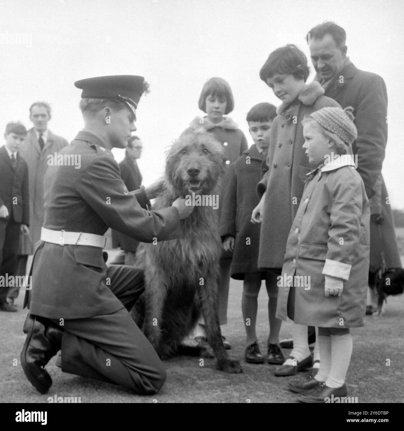 BRITISCHE ARMEE IRISCHER WOLFSHUND SHAUN REGIMENTSMASKOTTCHEN ; 17. MÄRZ 1963 Stockfoto
