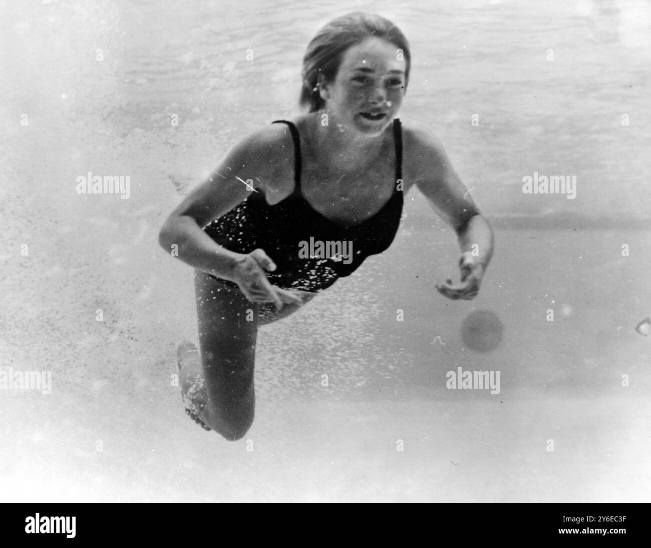 DER ENGLISCHE TAUCHER JAY NEWMAN IN AKTION BEI COMMONWEALTH GAMES IN PERTH; 20. NOVEMBER 1962 Stockfoto