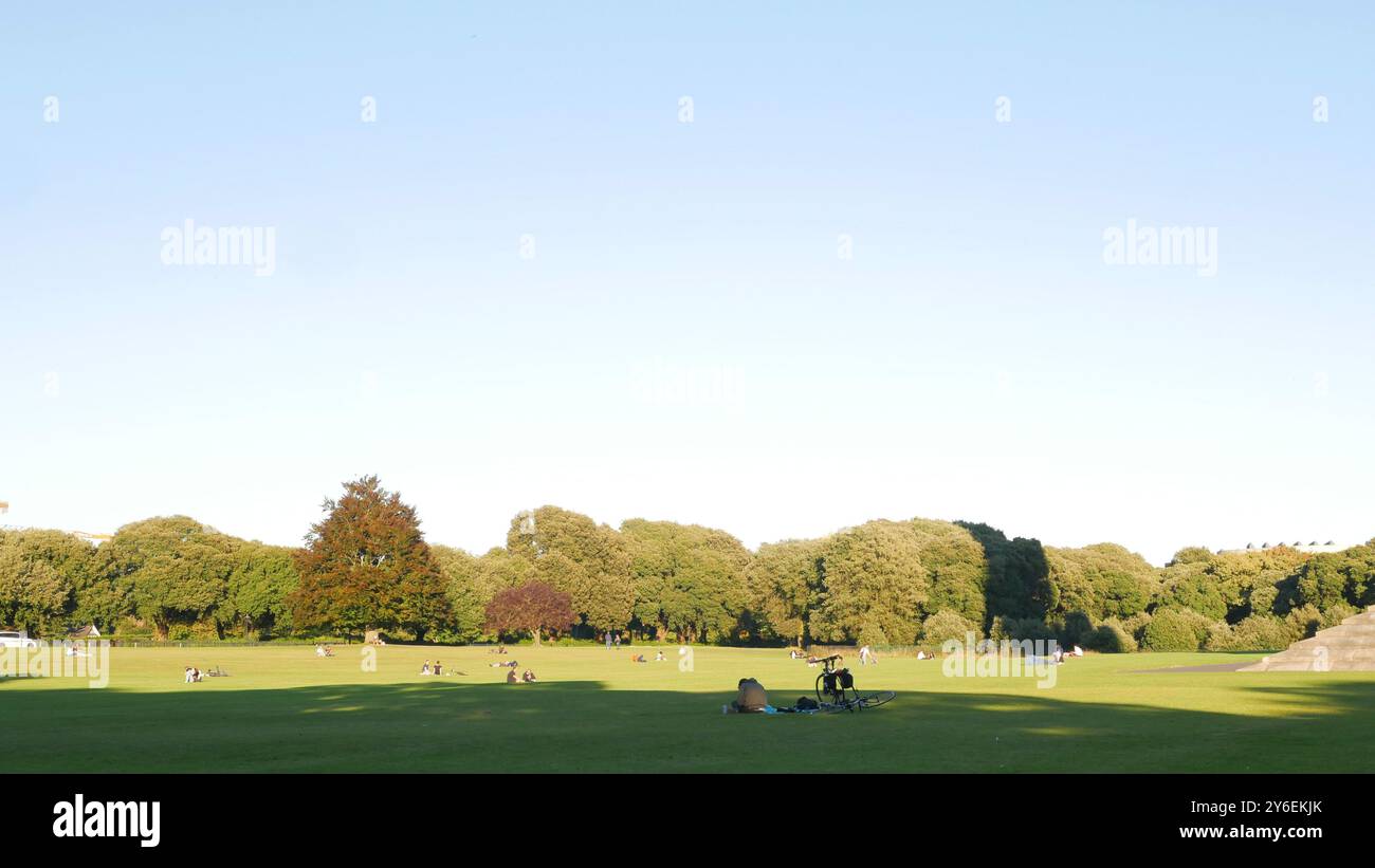 Der Phoenix Park in Dublin, Irland, mit dem letzten Sommerlicht, das einen flauschigen Lichteffekt zwischen den Bäumen erzeugt. Stockfoto