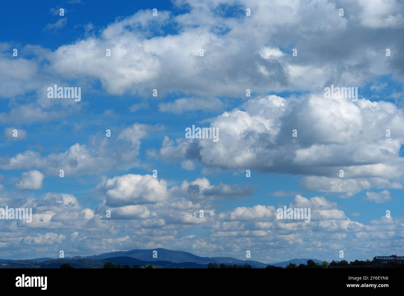 bayerischer Wald mit blauem Himmel und Kumuluswolken, bei Deggendorf, Bayern, Deutschland Stockfoto
