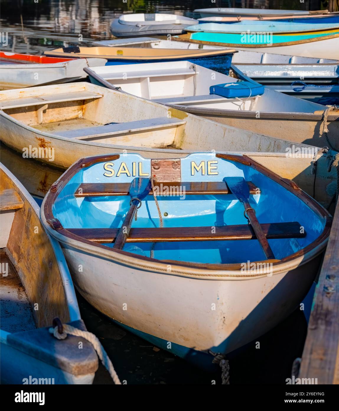 Eine Sammlung kleiner Ruderboote ist eng aneinander angedockt, wobei auf einem hell bemalten Boot deutlich die Worte „SAIL ME“ zu sehen sind. Der Wasserreflec Stockfoto