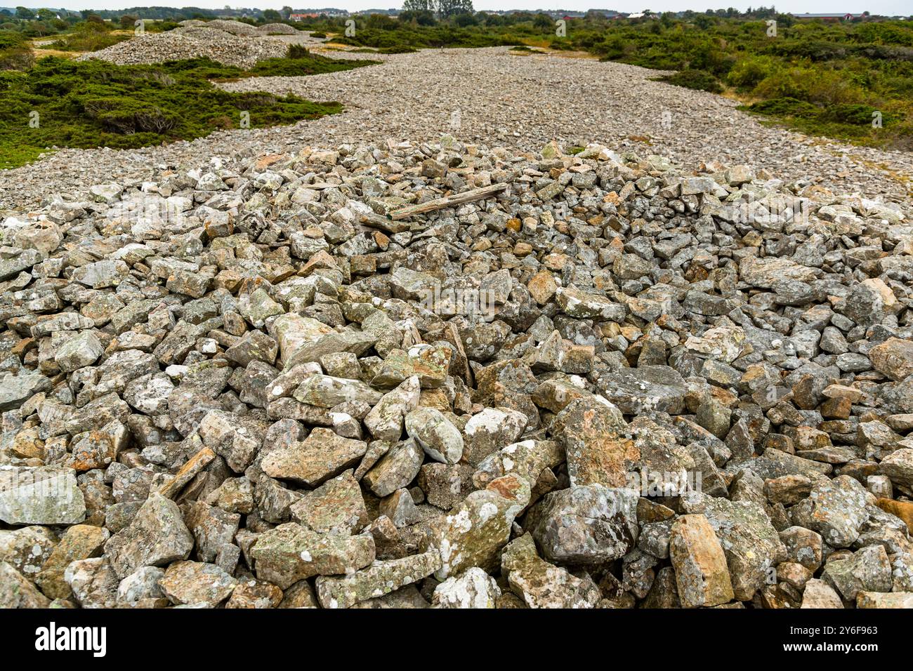 Acht Grabhügel aus der Bronzezeit: Gröthögarna in Plantahagen, Båstads kommun, Skåne, Schweden Stockfoto