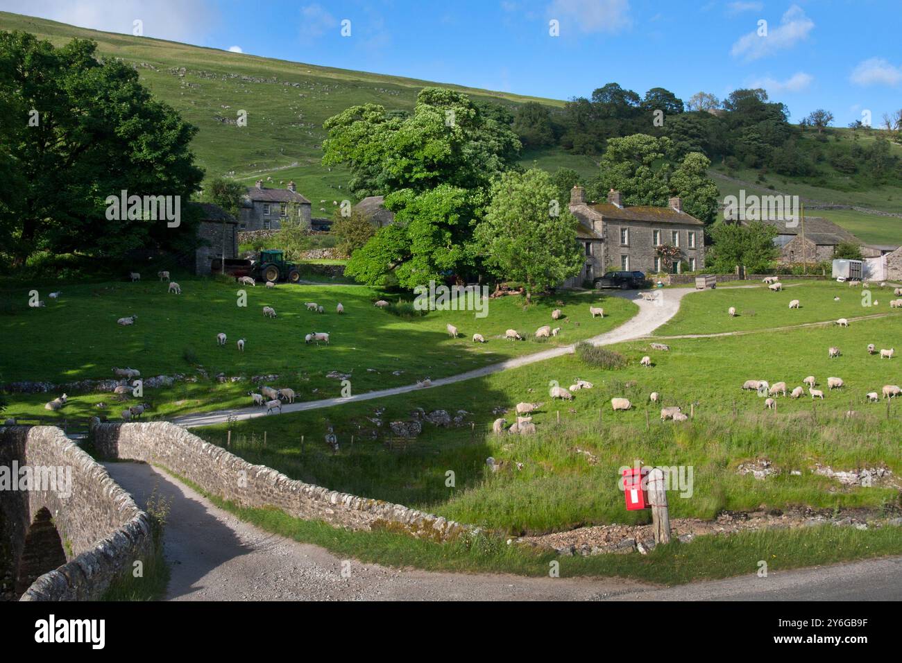 Steinbrücke über den Fluss Wharfe mit Briefkasten und Schafweide, Yockenthwaite, Langstrothdale, Upper Wharfedale, Yorkshire Dales, England Stockfoto