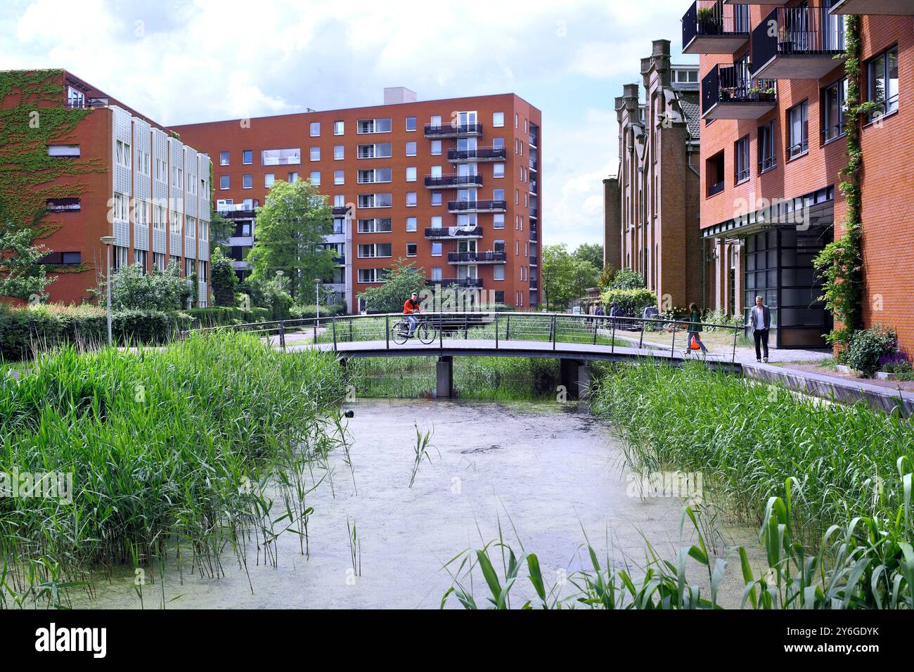 Eine Fußgängerbrücke über Wasser in GWL-terrein, einem autofreien Wohnbaugebiet in Amsterdam. Stockfoto