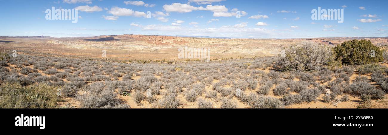 Navajo Sandstein Wüste Panorama Landschaft. Typisch amerikanische Schönheit in der Natur. Reisen und Tourismus in den USA Stockfoto