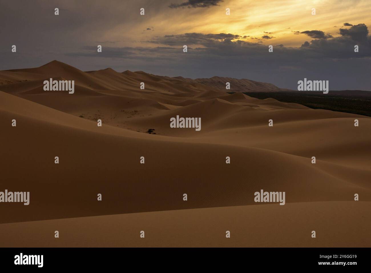 Landschaft der Sanddünen Hongoryn Els in der Wüste Gobi bei Sonnenuntergang, Mongolei, Asien Stockfoto