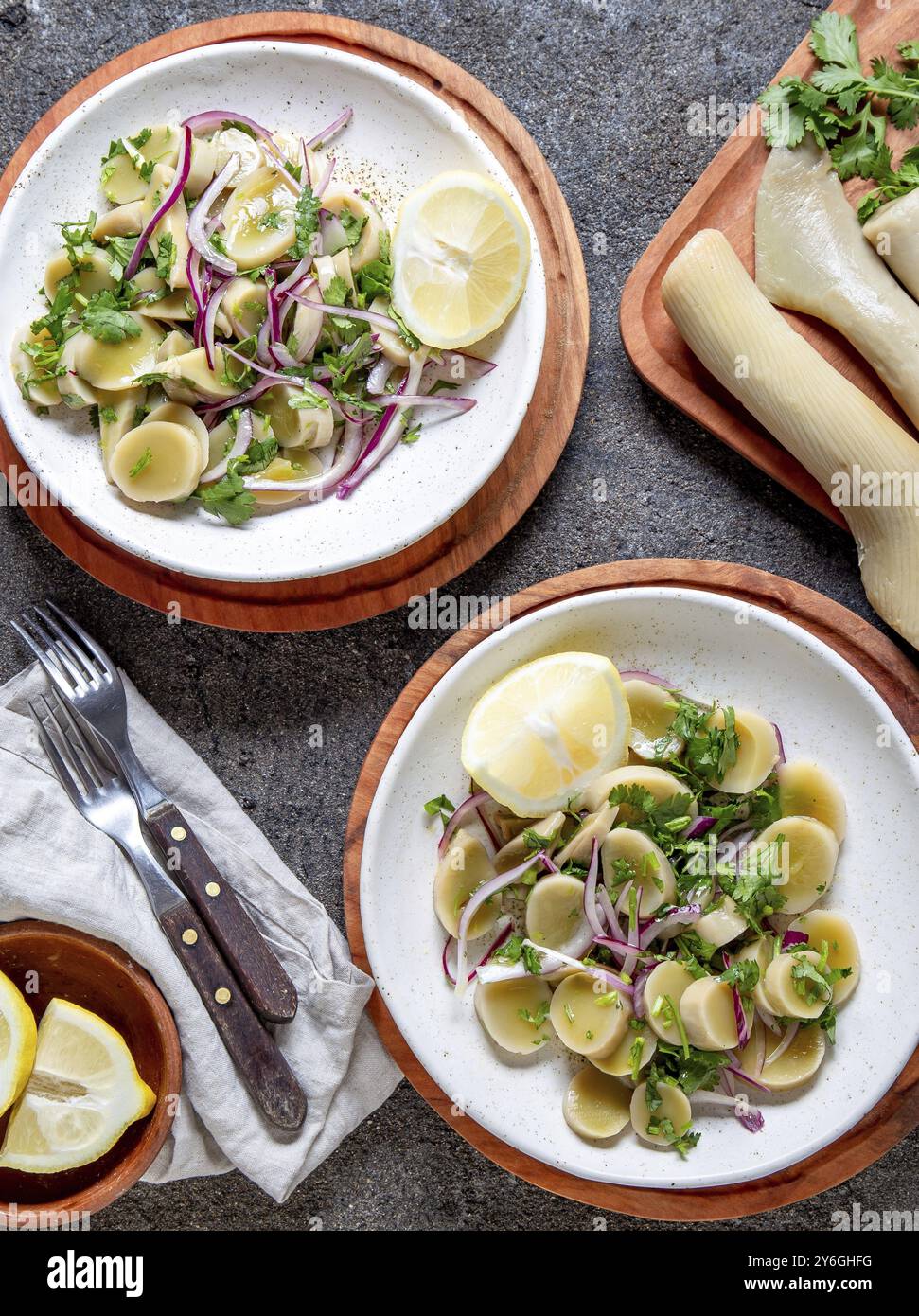 Lebensmittel, ALGEN ULTE oder HULTE. Chilenischer Ulte-Salat Ceviche mit violetten Zwiebeln, Koriander und Zitronensaft. Pazifische Meeresalge Stockfoto