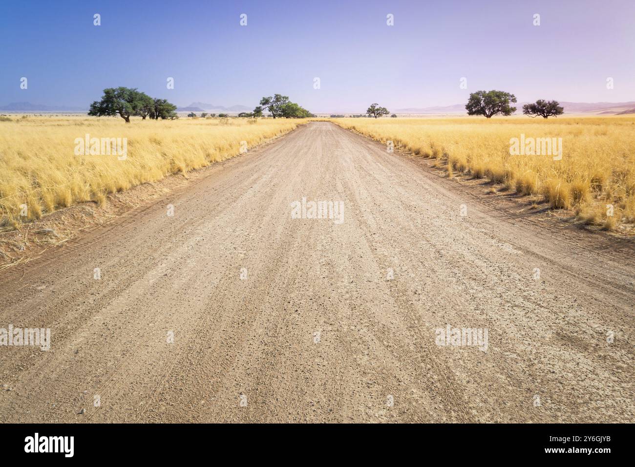 Grasgesäumte namibische Savanne Schotterstraße in der Nähe von Sossusvlei, Namibia, während der Reise und Selbstfahrstrecke in Afrika. Zeigt Horizont, Unendlichkeitspunkt A Stockfoto