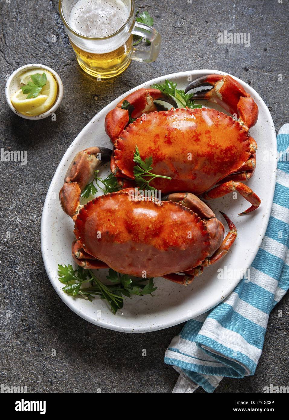 Essen, Essen, ganze gekochte Krabben auf weißem Teller mit Zitrone und Bier. Grauer Betonhintergrund. Draufsicht Stockfoto