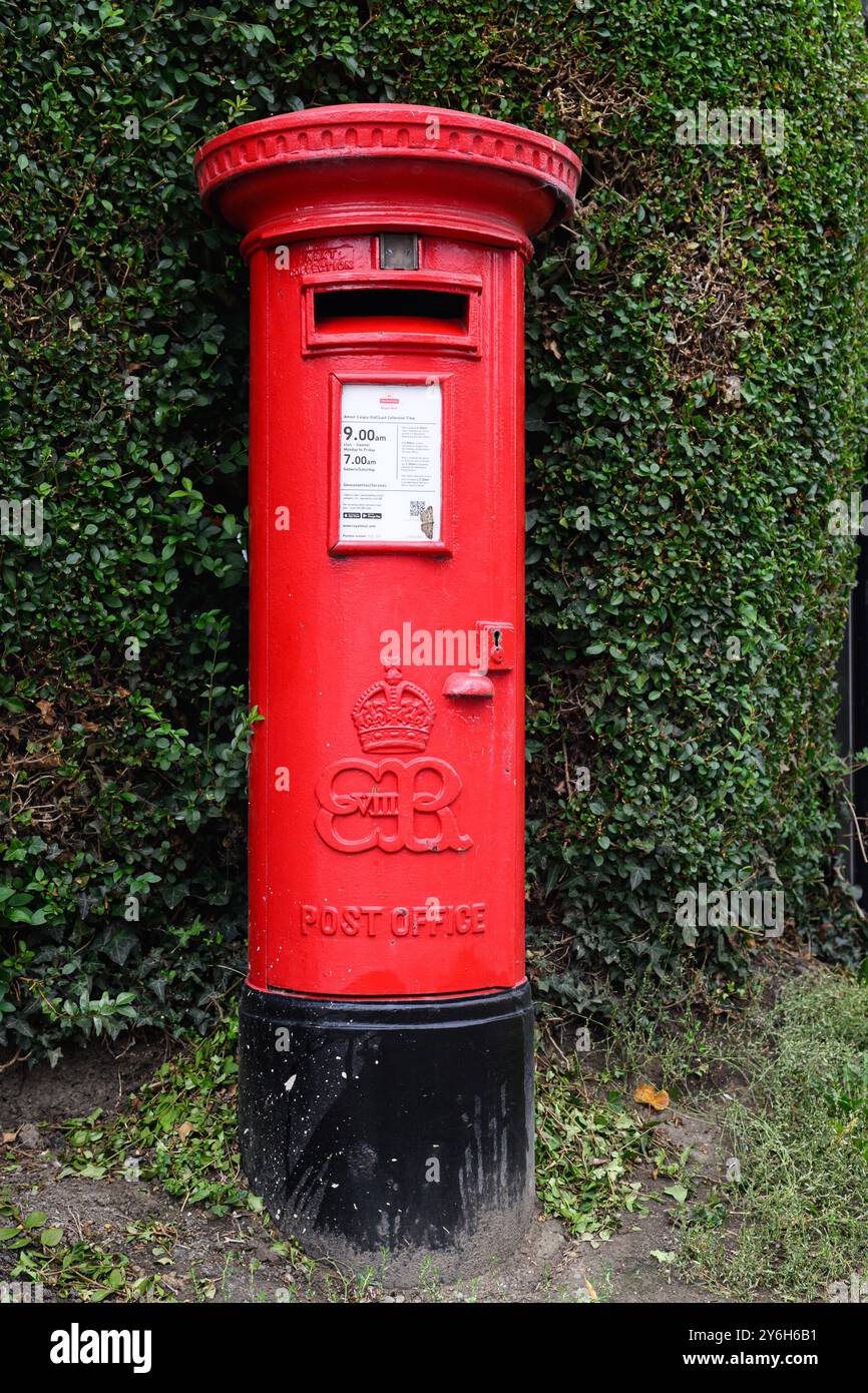 Welshpool, Wales, Vereinigtes Königreich - 6. September 2024; seltener König Eduard VIII.-Verschlüsseler auf rotem Postsäulenkasten entlang der Hecke Stockfoto