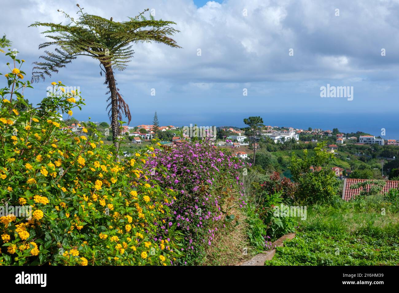 Rote Dächer und weiße Gebäude von Santana, Madeira mit hübschen lantana-Blumen und einem wunderschönen Baumfarn im Vordergrund Stockfoto