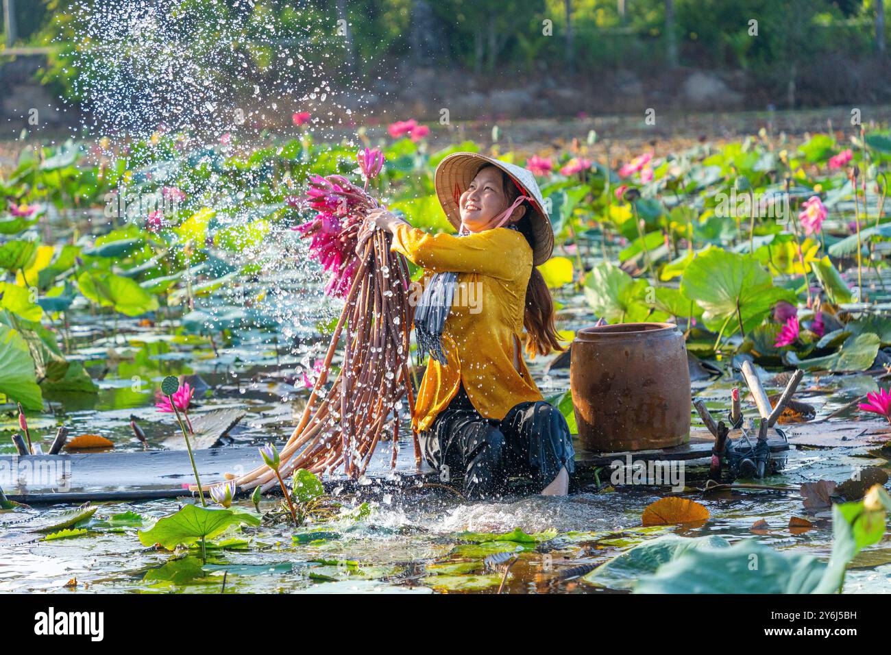 Blick auf das ländliche vietnamesische Mädchen im Bezirk MOC Hoa, einer Provinz, Mekong Delta, ernten Seerosen. Seerose ist hier ein traditionelles Gericht. Stockfoto