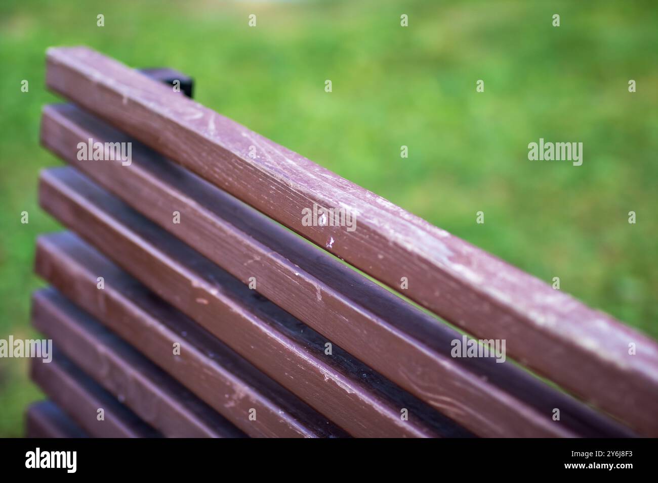 Dies ist ein detailliertes Nahaufnahme-Bild einer wunderschön gearbeiteten Holzbank mit leuchtendem grünem Gras im Hintergrund, die eine ruhige Außenlandschaft schafft Stockfoto