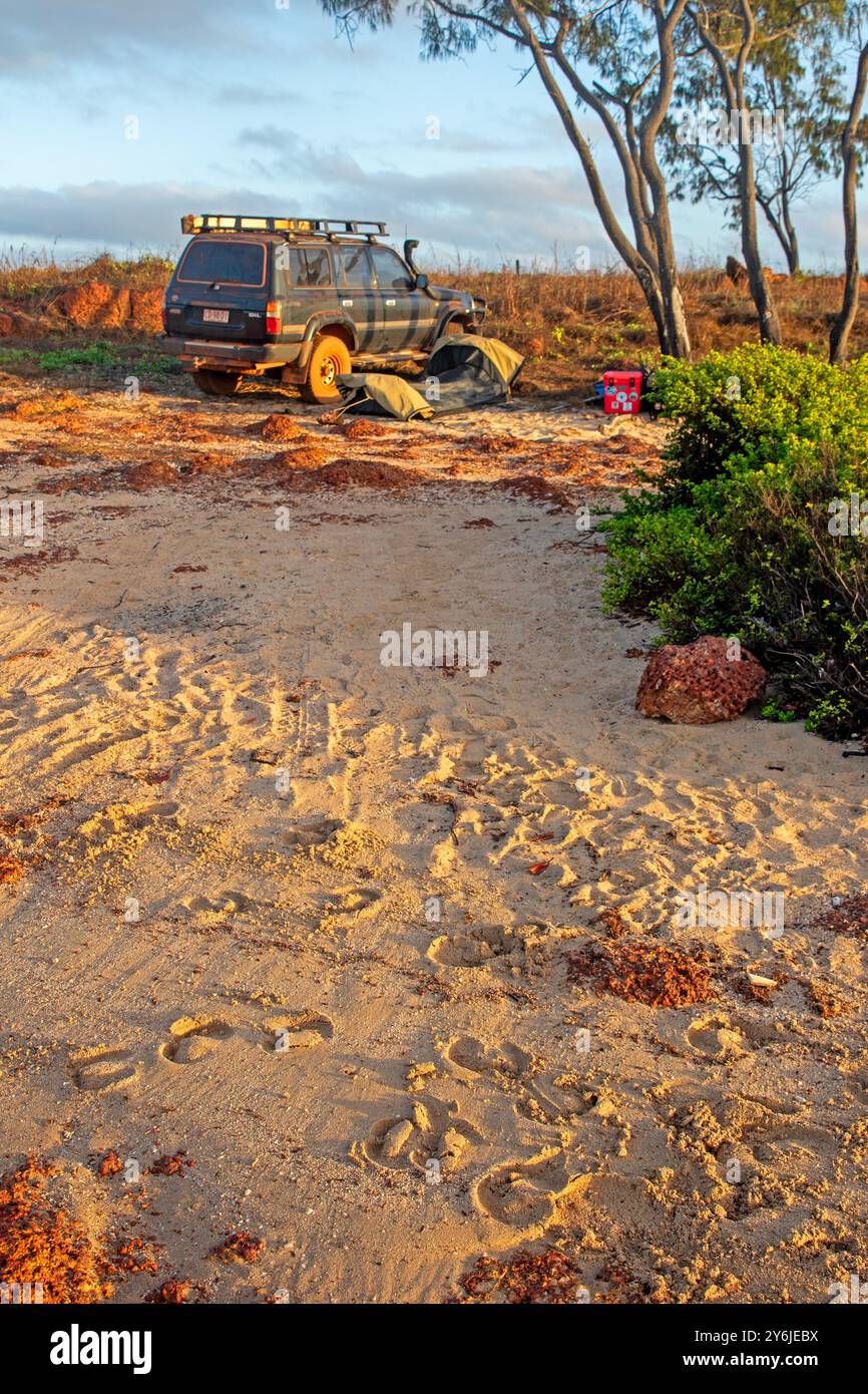 Camping in einem Swag am Macassan Beach (Garanhan), mit Büffelspuren im Sand im Vordergrund Stockfoto