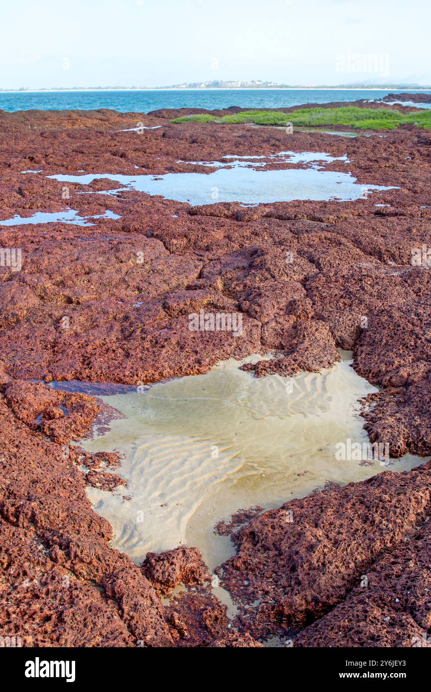 Die niedrigen Klippen am Macassan Beach (Garanhan) Stockfoto