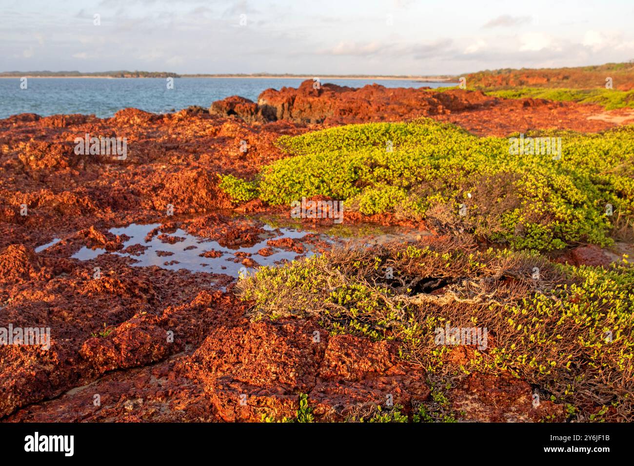 Die felsige Küste am Macassan Beach (Garanhan) Stockfoto