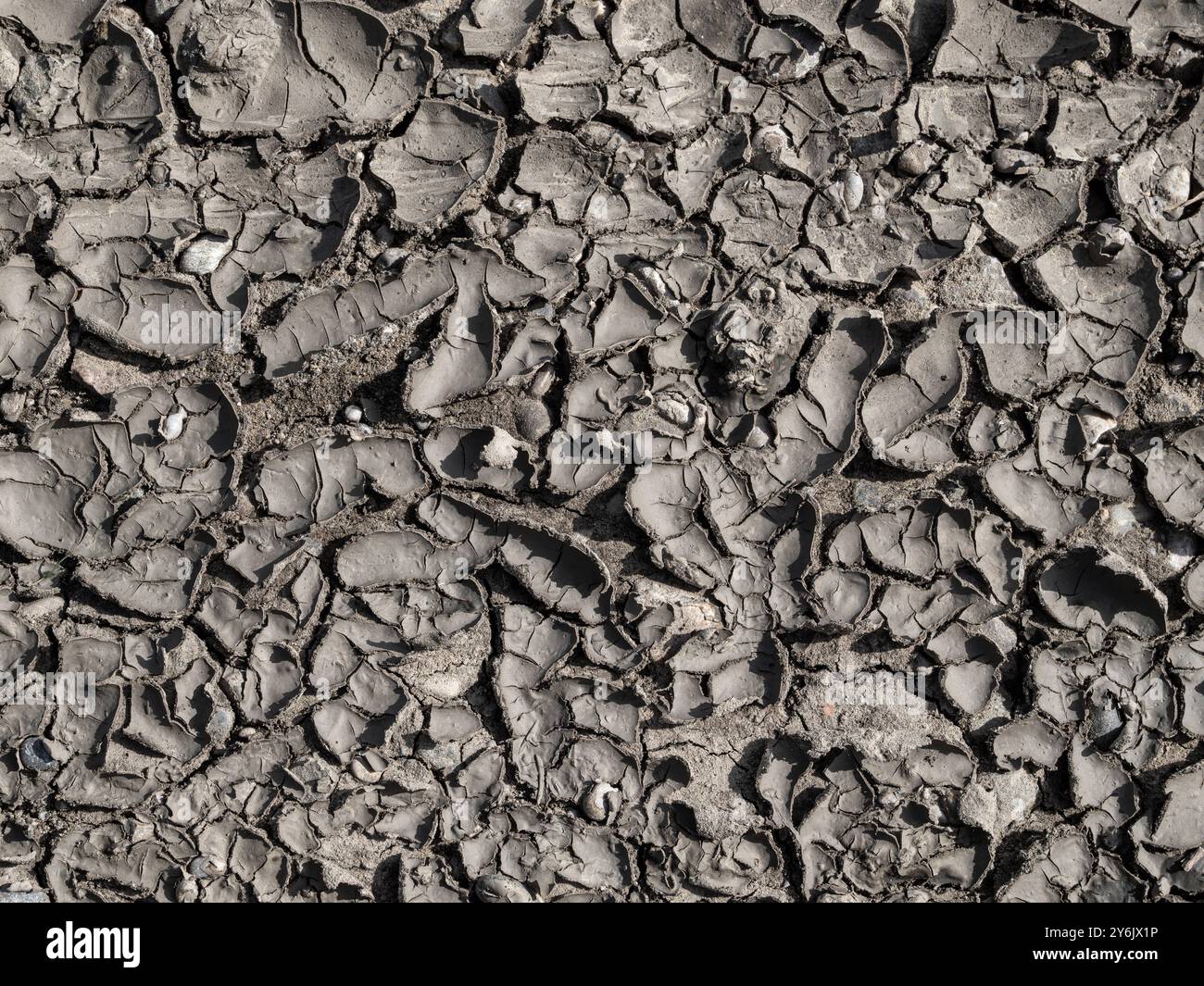 Aufgeplatzte Erde, getrockneter Schlamm, Bayern, Deutschland, Europa Aufgeplatzte Erde, getrockneter Schlamm, Bayern, Deutschland, Europa *** Burst ea Stockfoto