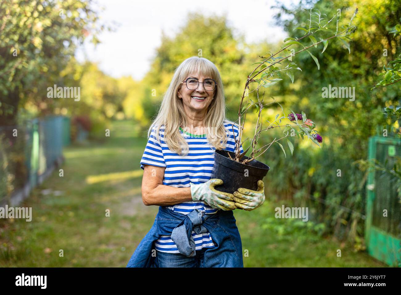 Eine ältere Frau, die an einem sonnigen Tag an ihrem Schreck arbeitet Stockfoto