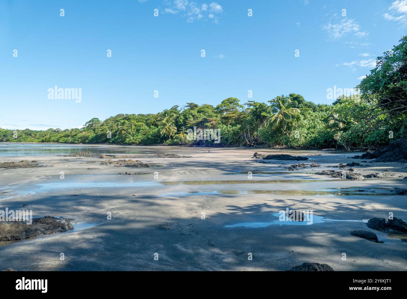 Malerischer feiner Sandstrand in Cavolebora in Panama mit nahe gelegenem Dschungel Stockfoto