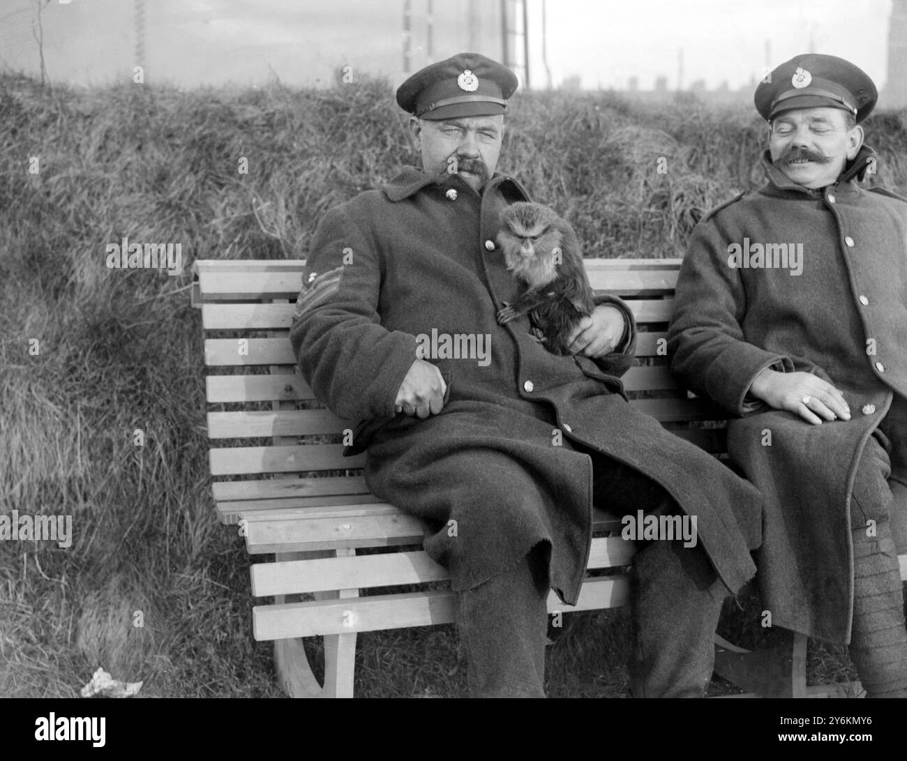 Sergeant McPahil, Boson von Train Ferry 4 mit „Mick“, dem Maskottchen der Fähre – 10. Februar 1919 © TopFoto Stockfoto