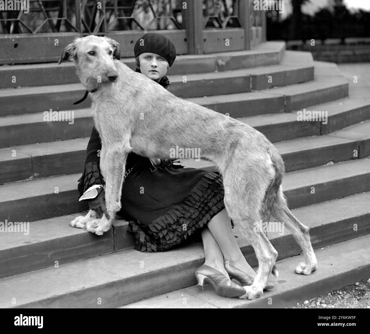 Kennel Club Show im Crystal Palace. Miss Joan Southey mit ihrem irischen Wolfshund "Crewkerne Marcheta". 1926 Stockfoto