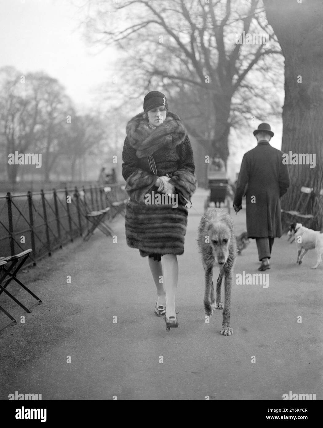 Im Park. Mrs. Worthington und ihr irischer Wolfshund. 9. Februar 1928 Stockfoto