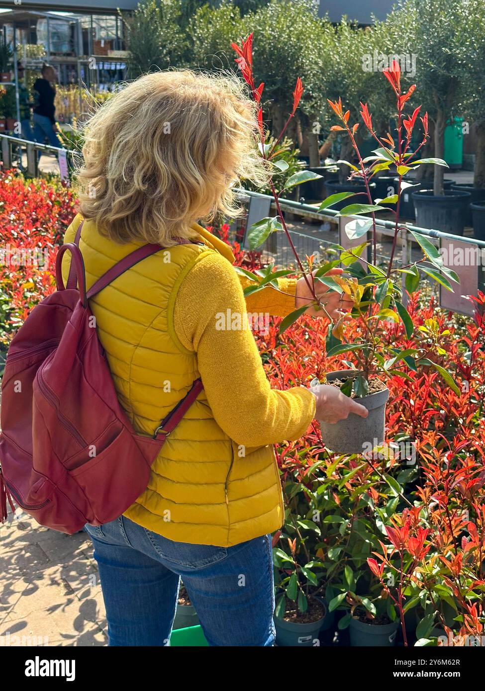 Blonde Frau kauft in einem Gartencenter ein Stockfoto
