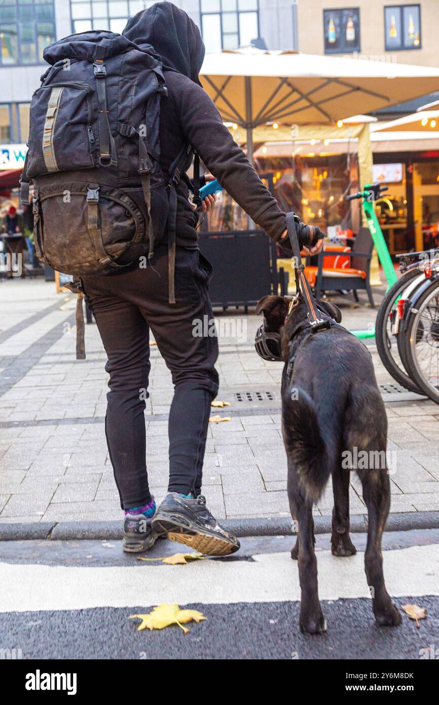 Obdachlos mit einem Hund, der oft als „Dog Punk“ bezeichnet wird Stockfoto