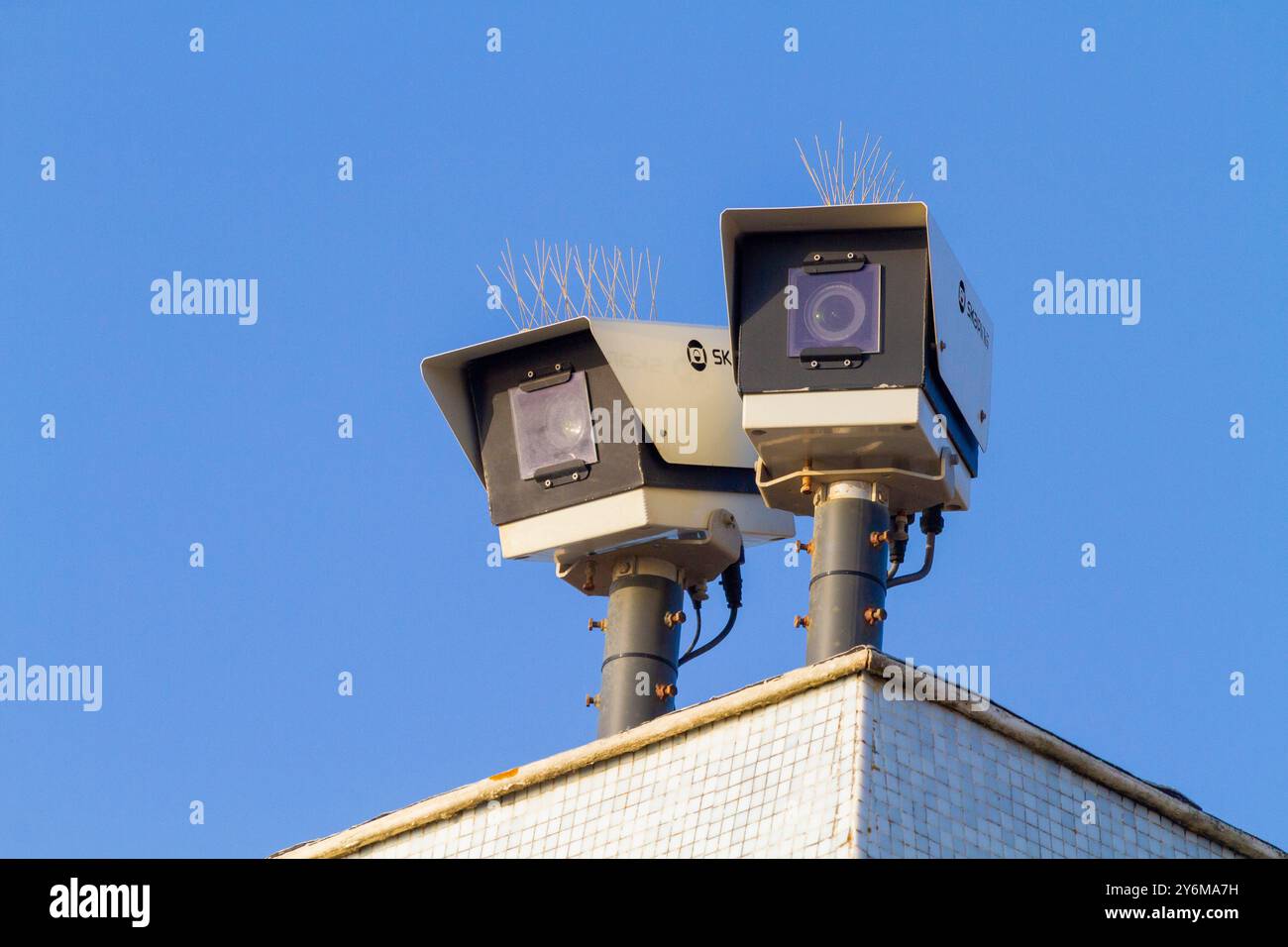 Frankreich, Nouvelle Aquitaine, Gironde, Lacanau, Lacanau-Ocean, Webcam filmt die Wellen, schützt Vögel mit PeaksWebcam filmant les vagues, Protegler Stockfoto