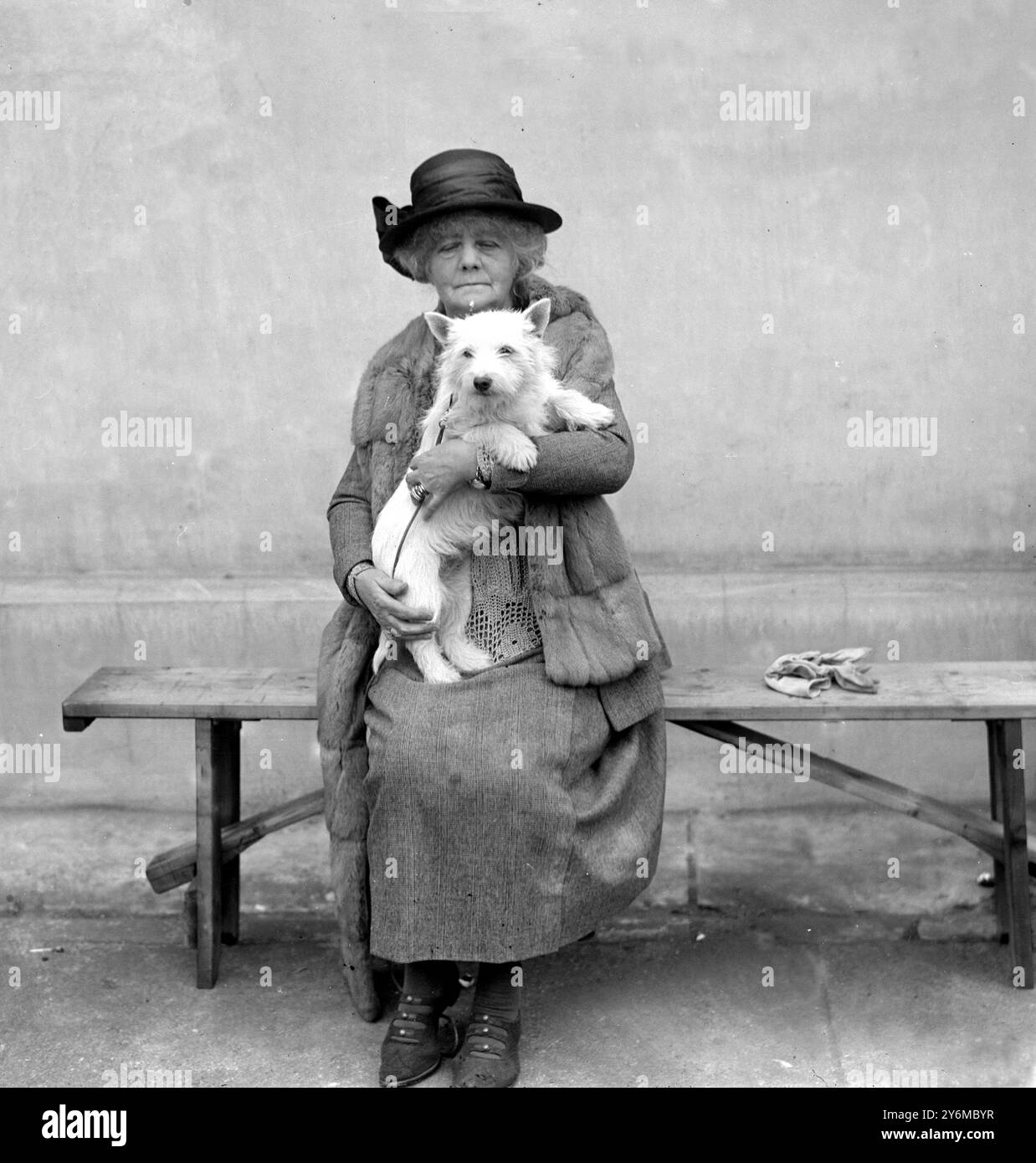 Kensington Canine Society Show im Holland Park. Frau Gerald Lascelles. 5. April 1923 Stockfoto