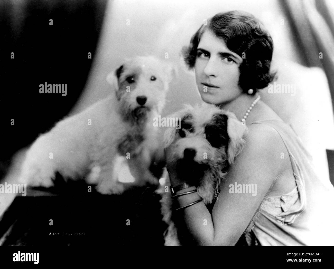 Königliche Präsidentin des rumänischen Kennel-Clubs, Kronprinzessin von Rumänien mit zwei ihrer Champion-Terrier 1925 Königin Mutter Helen von Rumänien Prinzessin Elena (Helen) von Griechenland und Dänemark wurde am 2. Mai 1896 in Athen als drittes Kind des Königs Konstantin I., König der Hellenen und seiner Königin Sophie Dorothea Ulrica von Preußen geboren. Am 10. März 1921 heiratete sie Carol, damals Kronprinz von Rumänien, in Athen, wie es in der griechischen Königsfamilie üblich war. Die Ehe endete 1928 mit der Scheidung. Sie hatten nur einen Sohn, Michael, König von Rumänien, der 194 abdankte und aus dem Land verbannt wurde Stockfoto